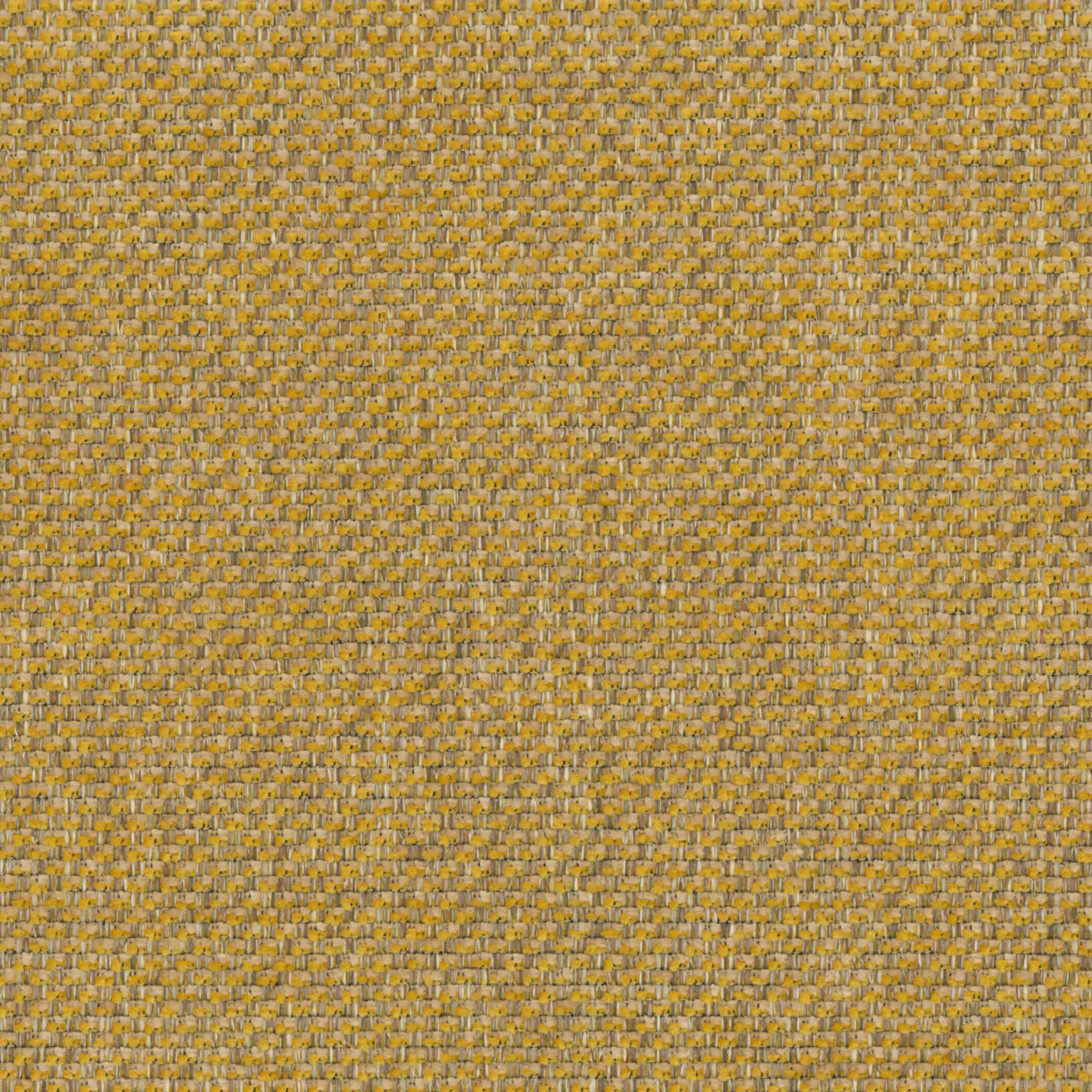 Spicy Mustard 24 | Marmellata