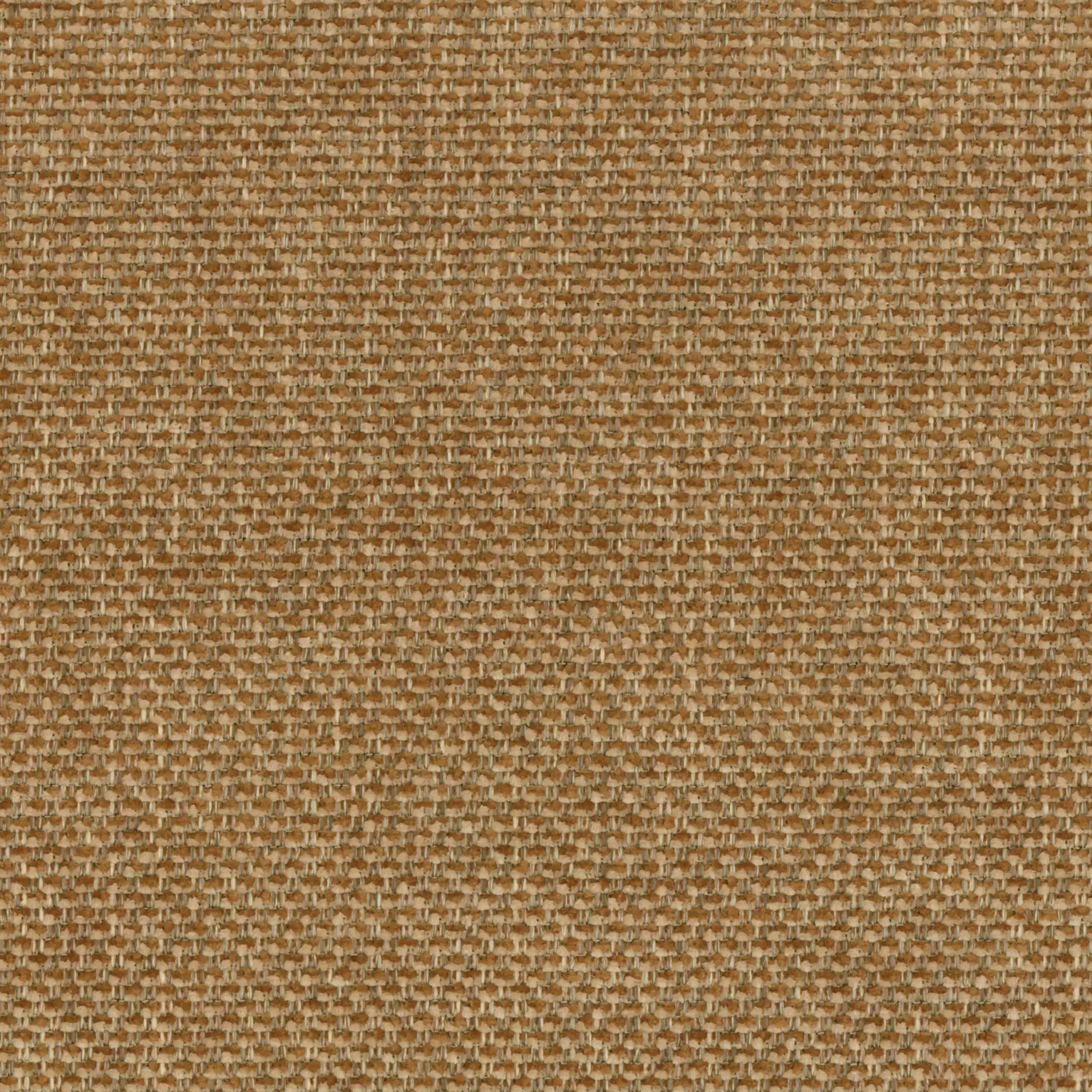 Wheat Blend 21 | Marmellata