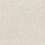 Coconut Milk 03 | Massi