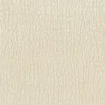 Pastel Parchment 04 | Massi