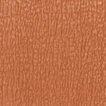 Rust 12 | Massi