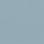 Blue Blizzard 29 | Pago