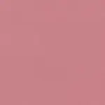 Brandied Apricot 24 | Pago