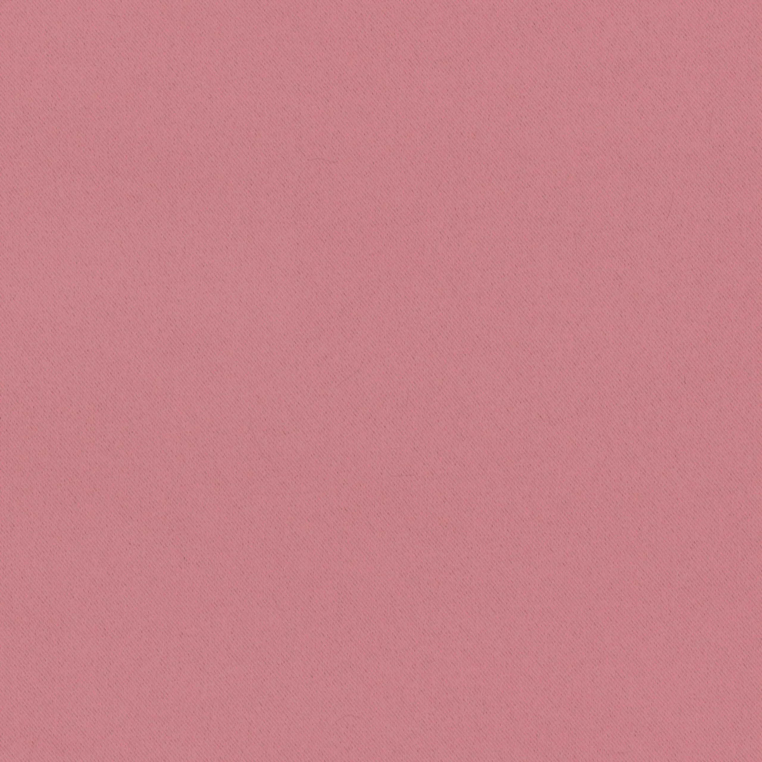 Brandied Apricot 24 | Pago