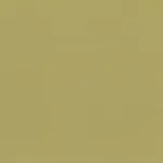 Burnished Gold 40 | Pago