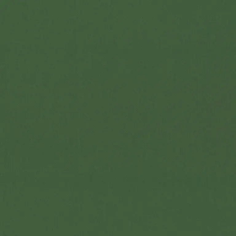 Douglas Fir 42