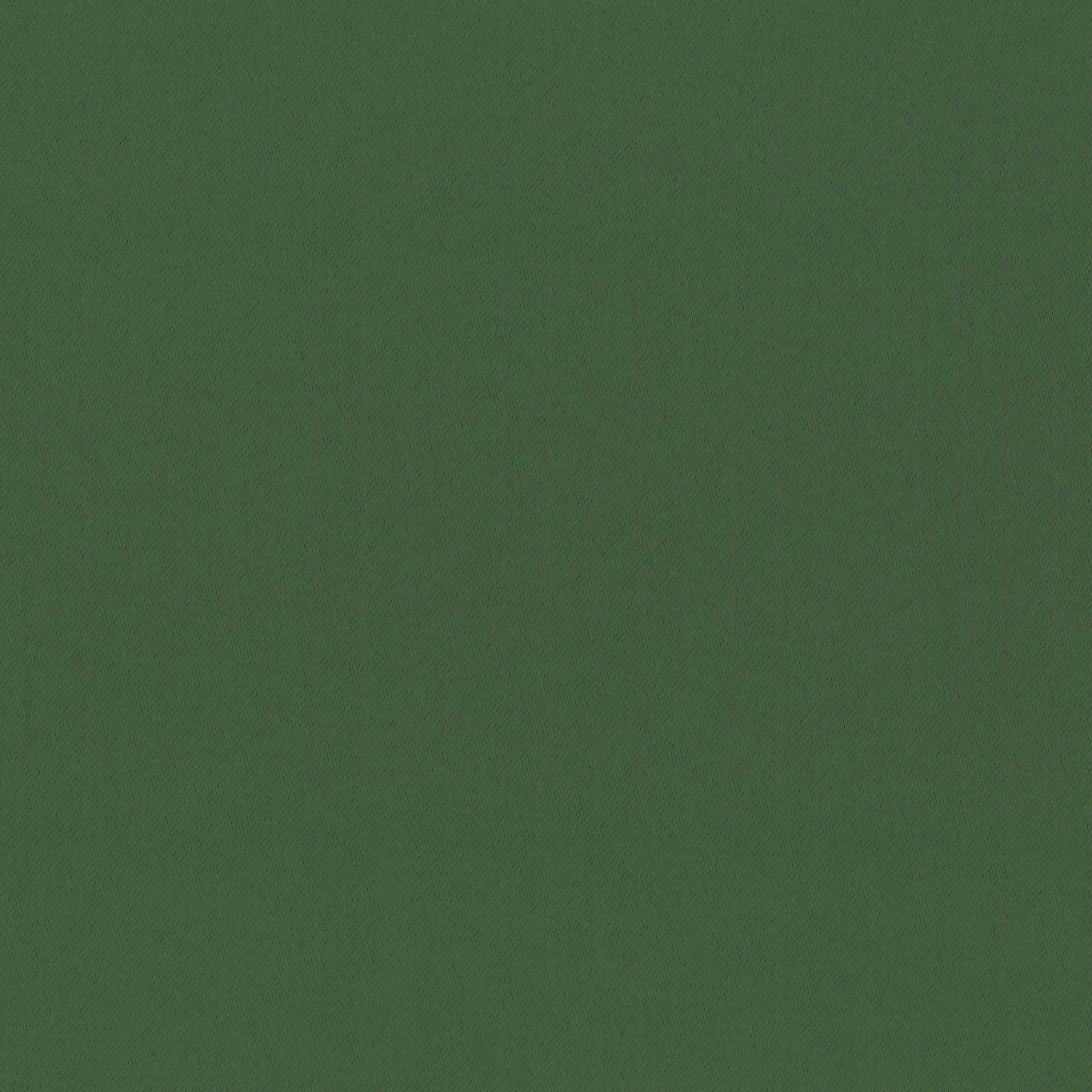 Douglas Fir 42 | Pago