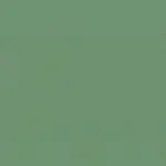 Hedge Green 41 | Pago