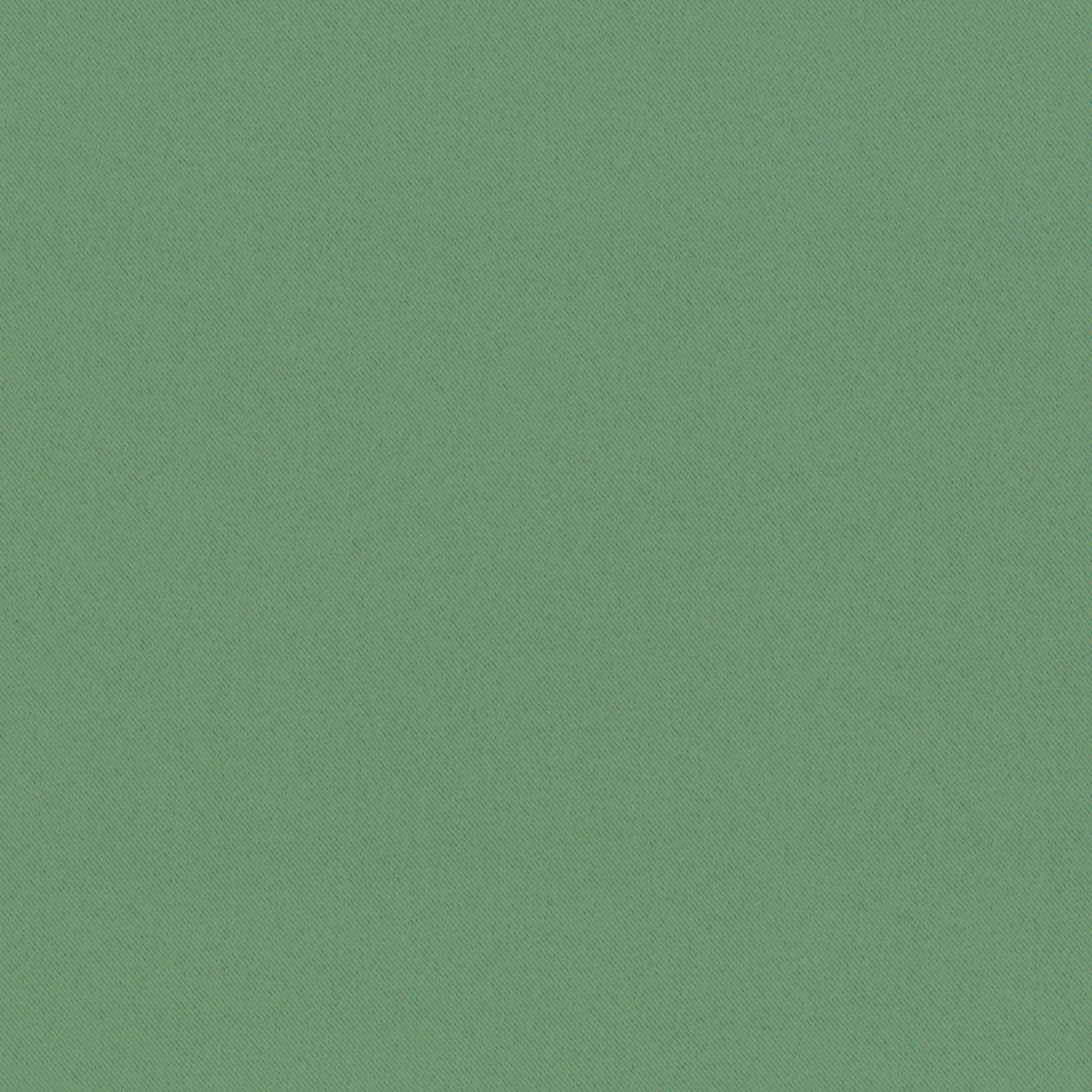 Hedge Green 41 | Pago