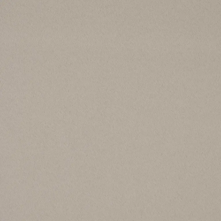 Light Gray 08