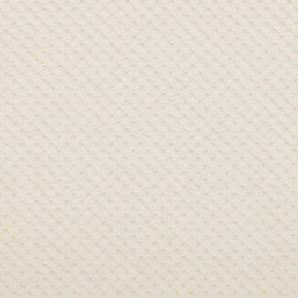Coconut Milk 00 | Palea