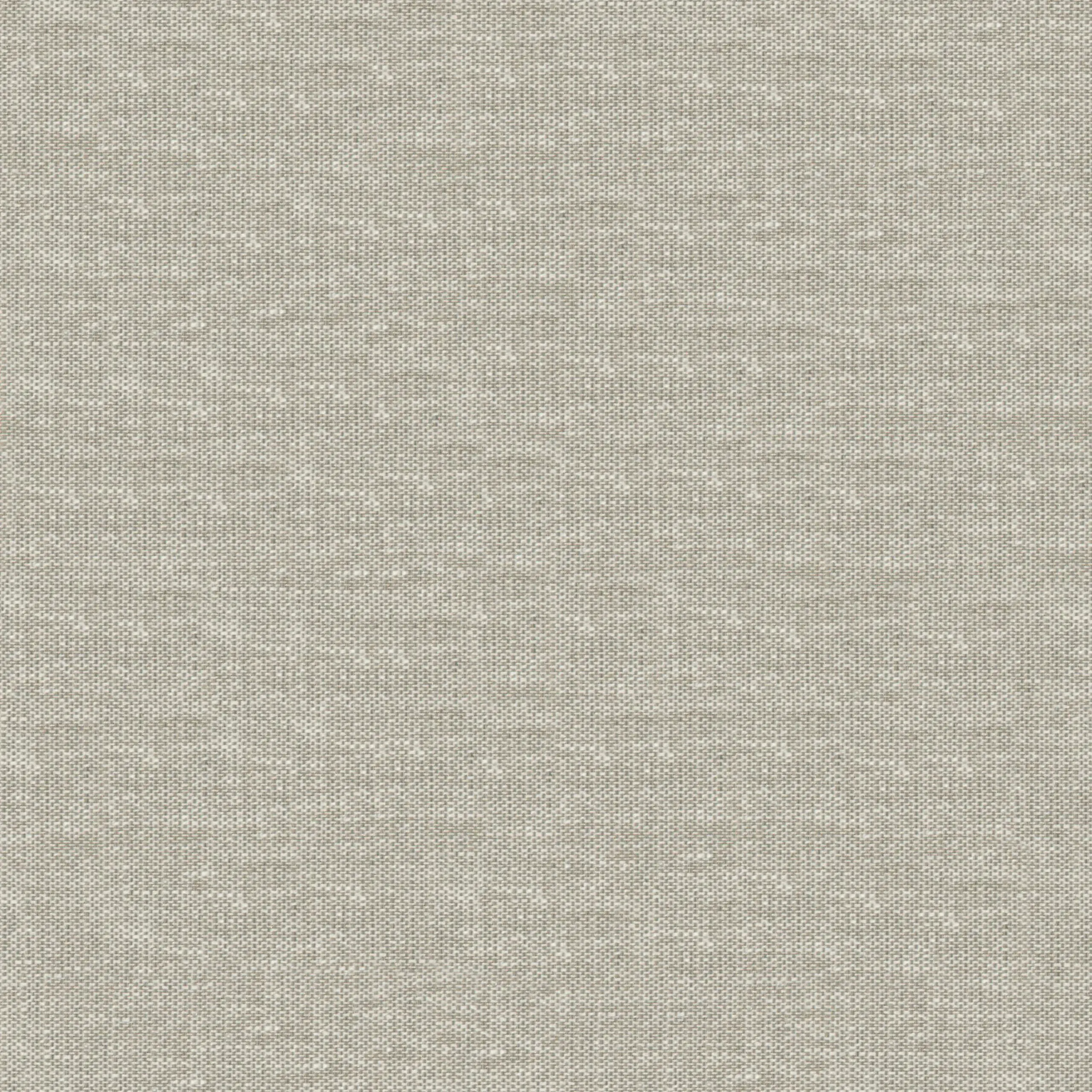 Feather 14 | Peggy