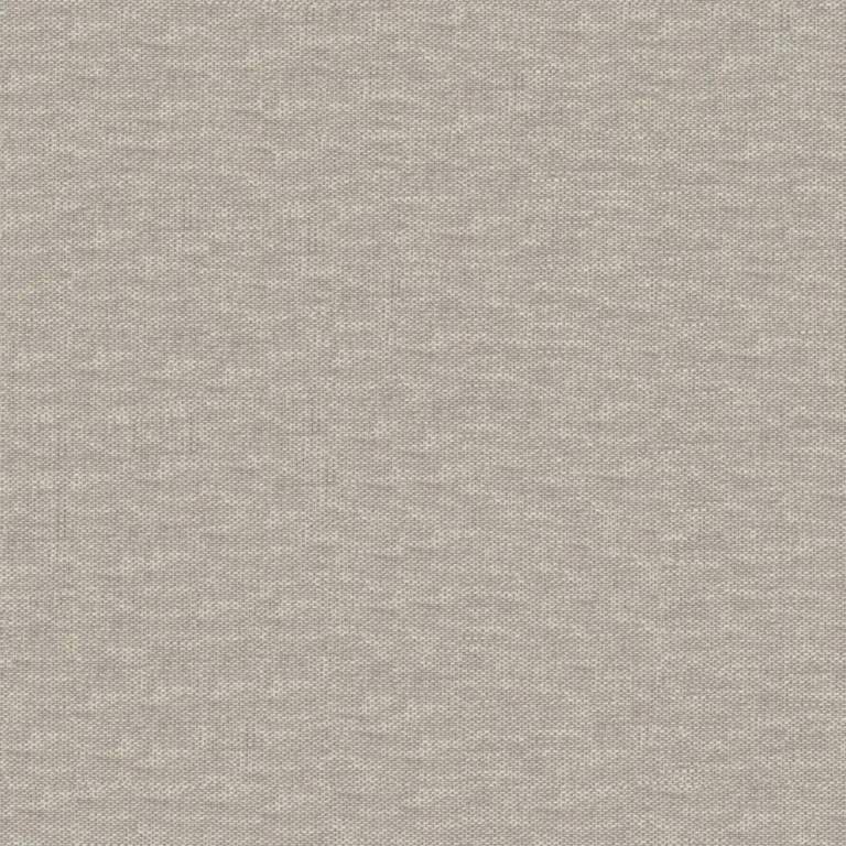 Rabbit 13