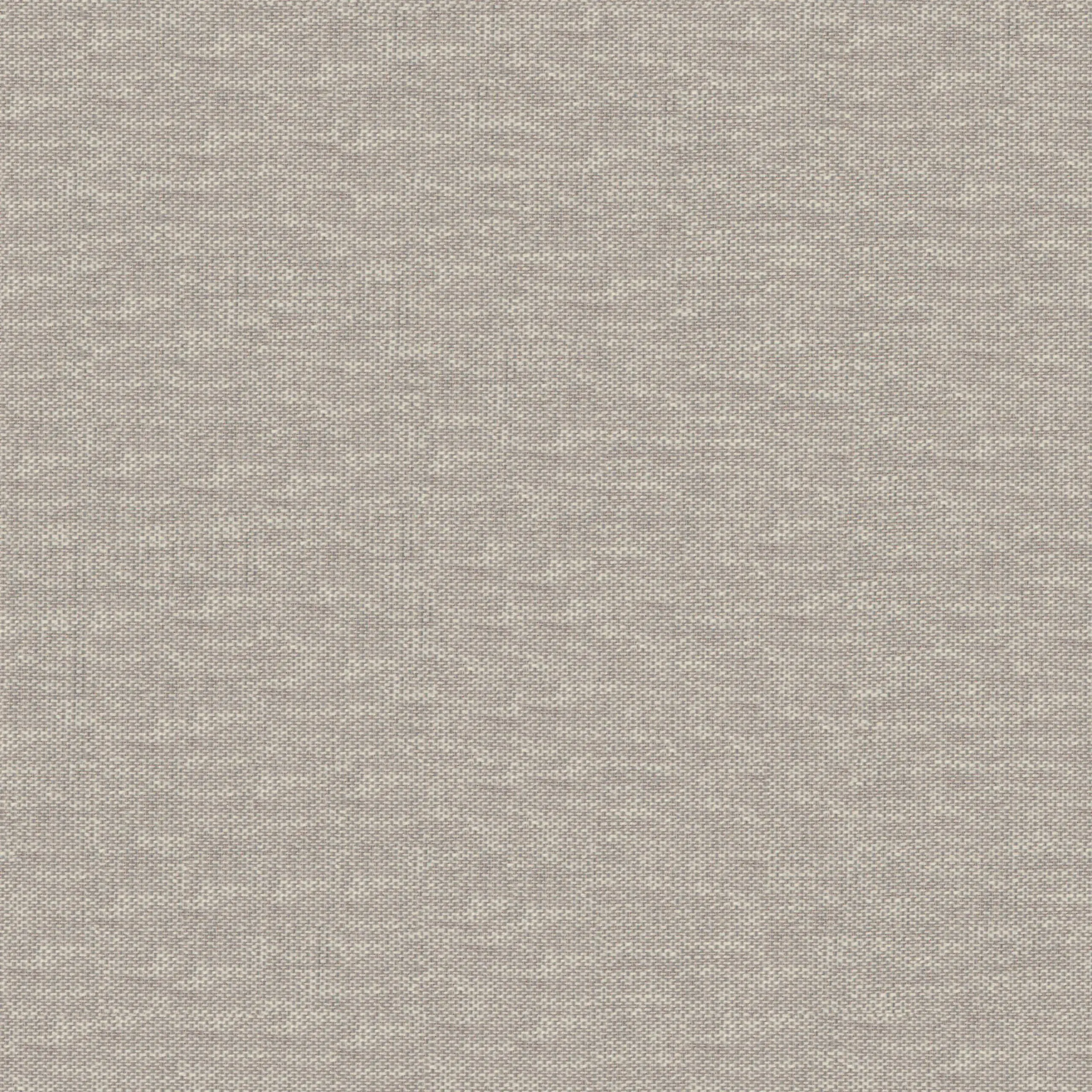 Rabbit 13 | Peggy