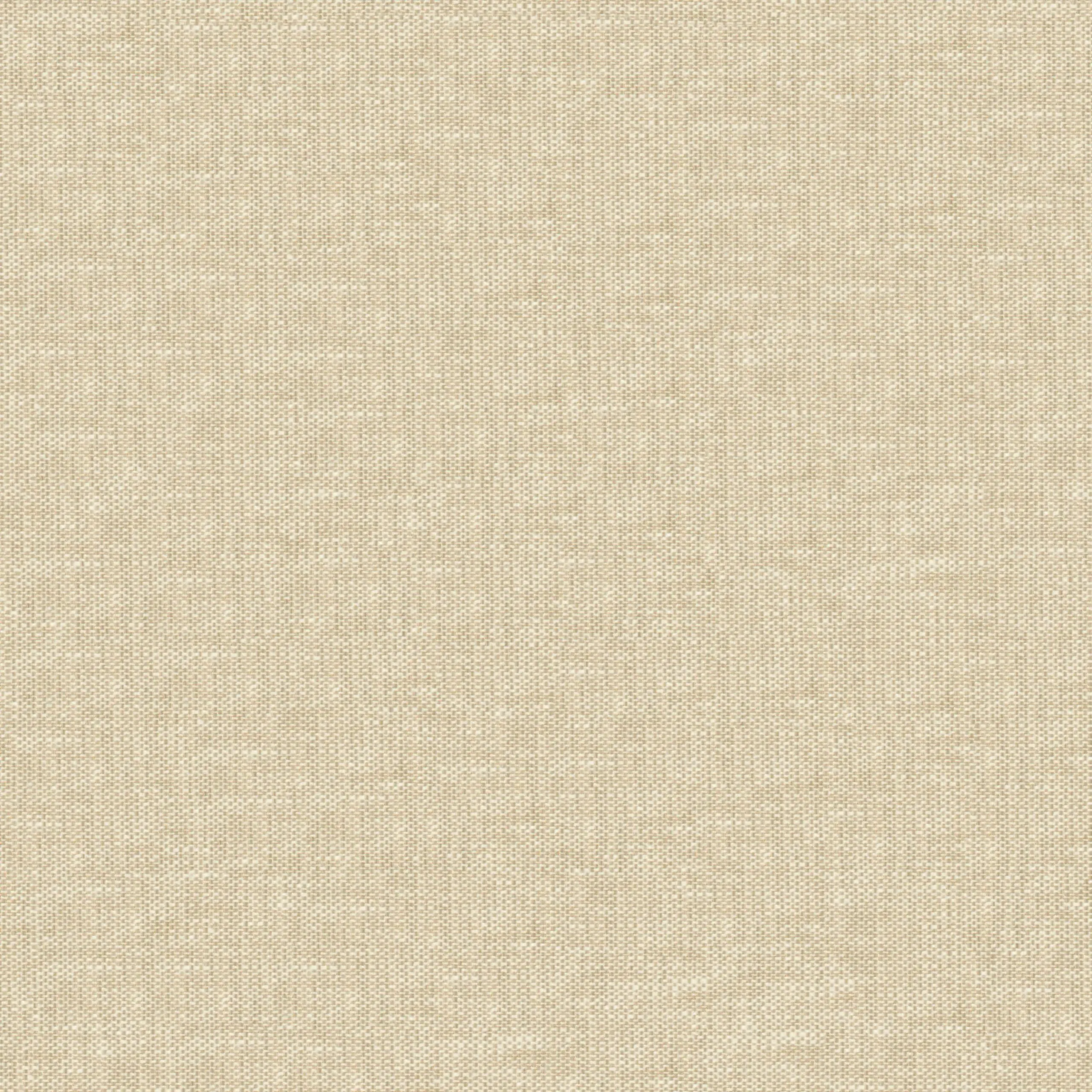Seagrass 05 | Peggy