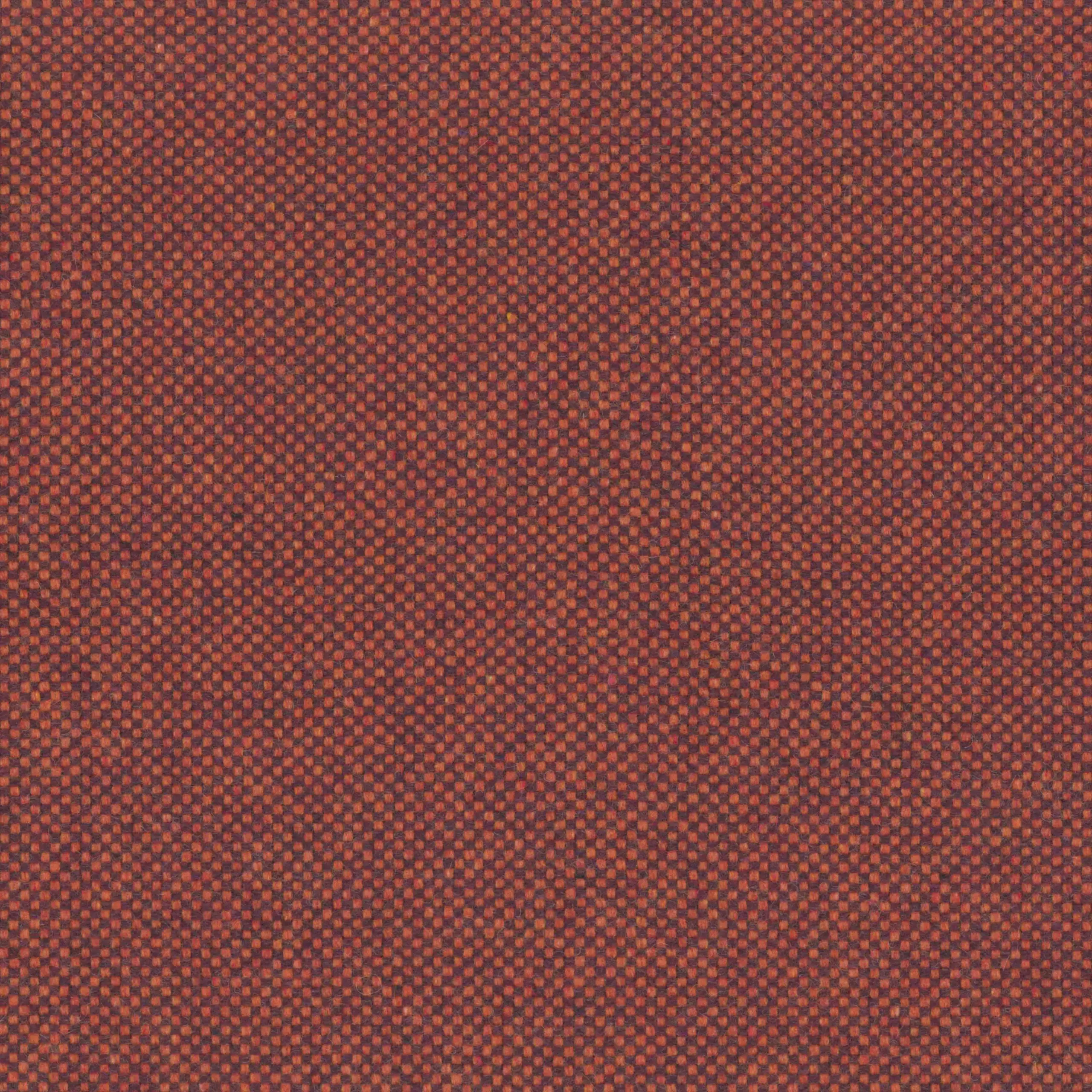 Blood Orange 34 | Punti