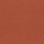 Burnt Ochre 49 | Punti