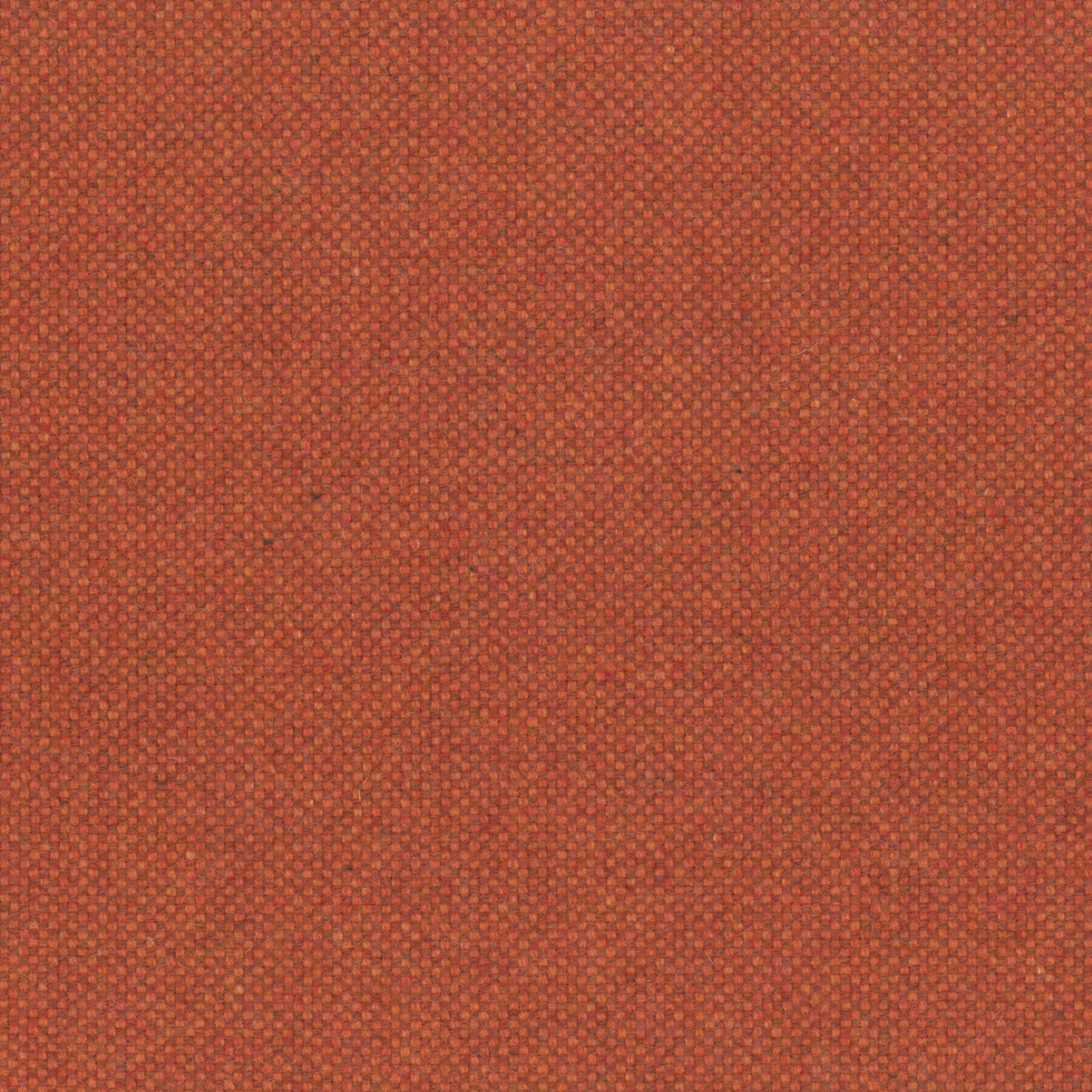 Burnt Ochre 49 | Punti