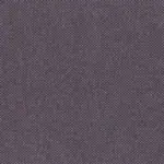 Fig Skin 30 | Punti