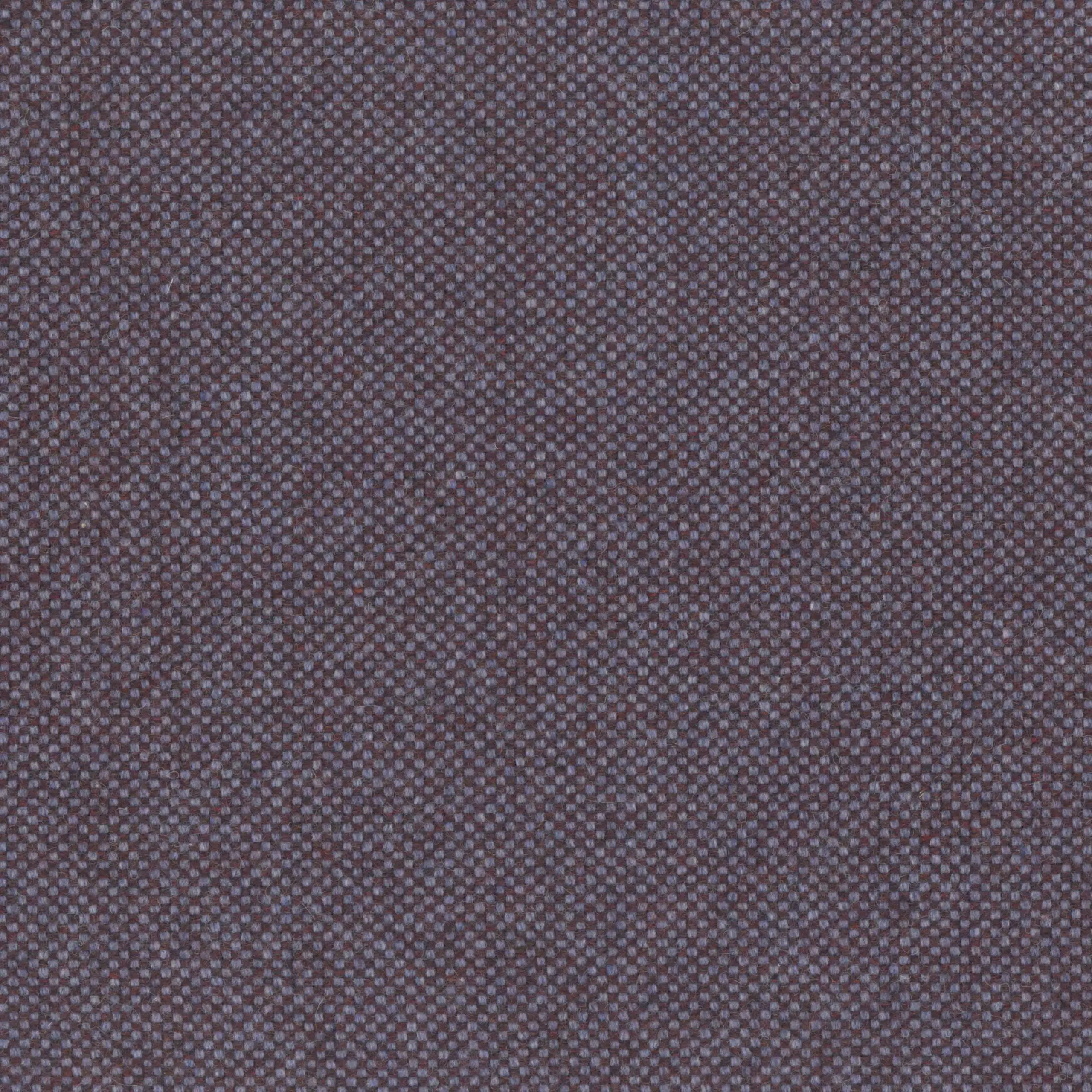 Fig Skin 30 | Punti