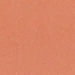 Flamingo Feather 48 | Punti