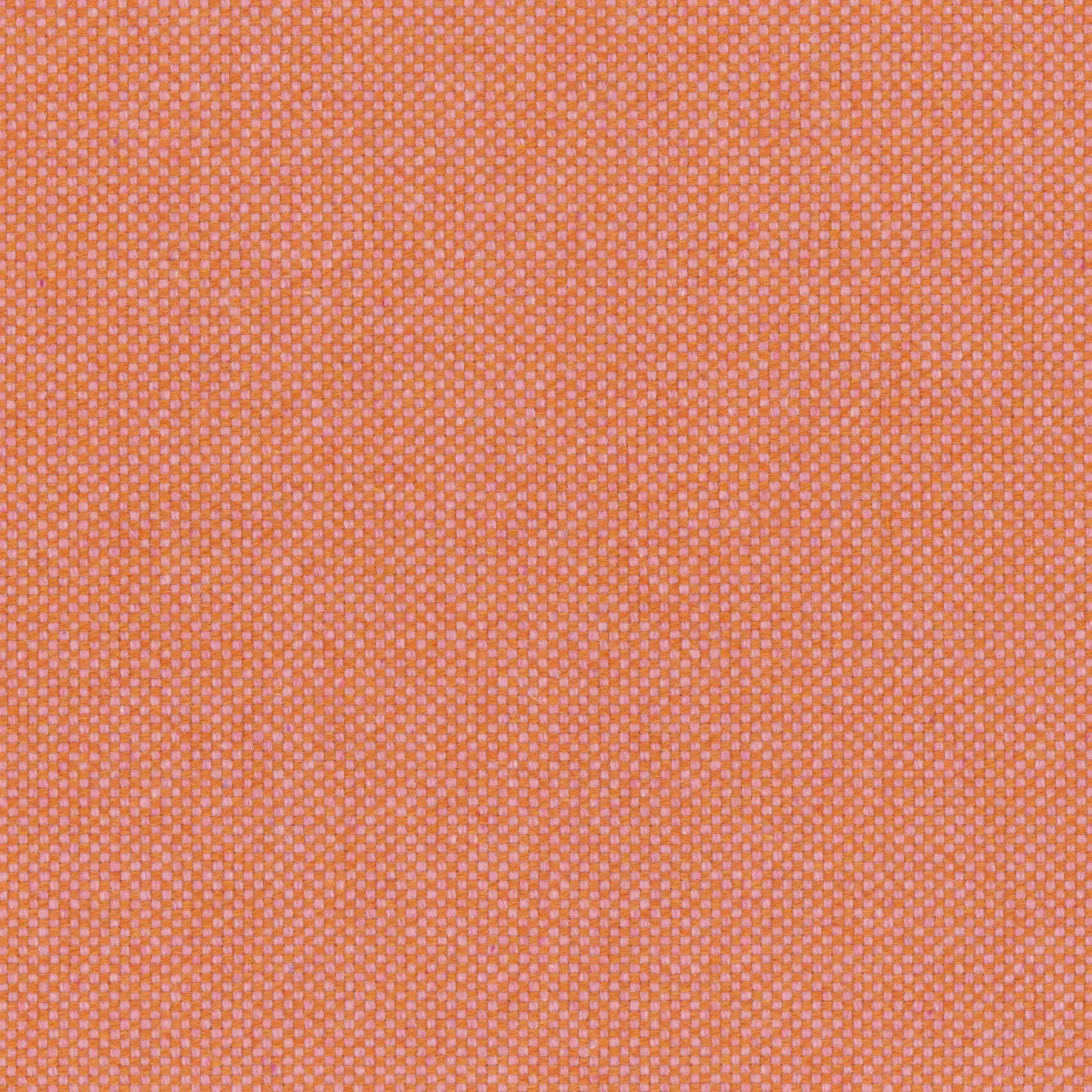 Flamingo Feather 48 | Punti
