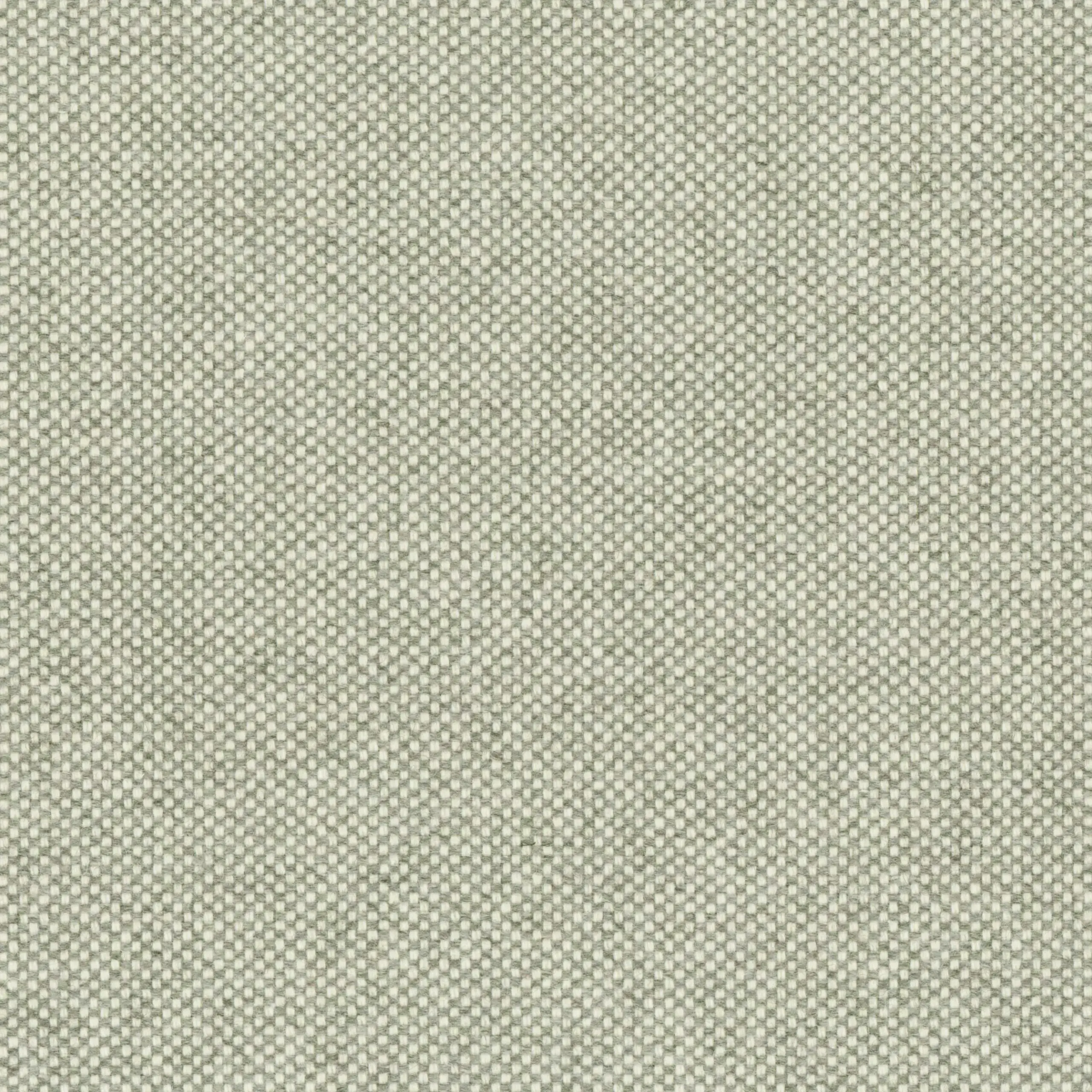 Ghost Gray 01 | Punti