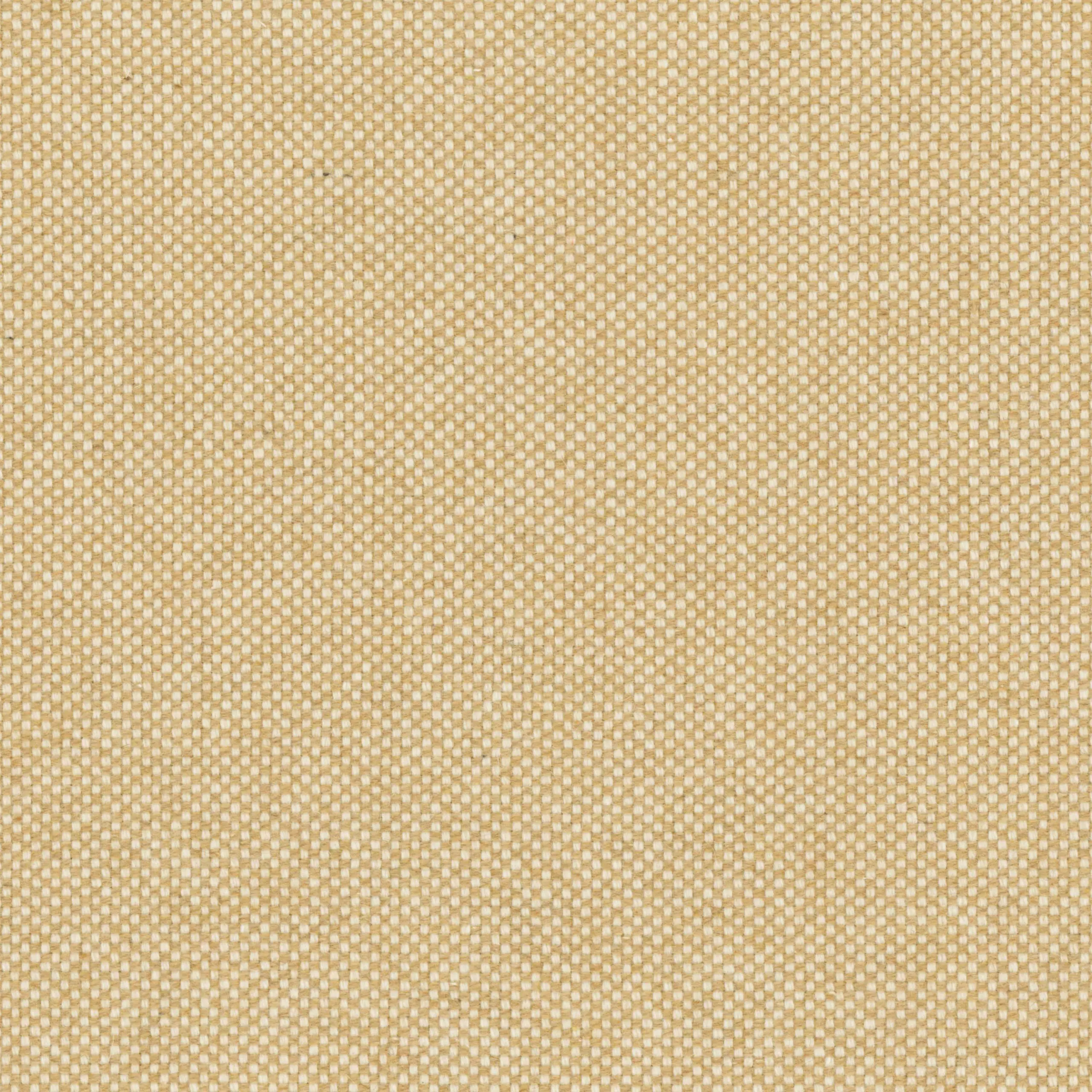 Irish Cream 44 | Punti