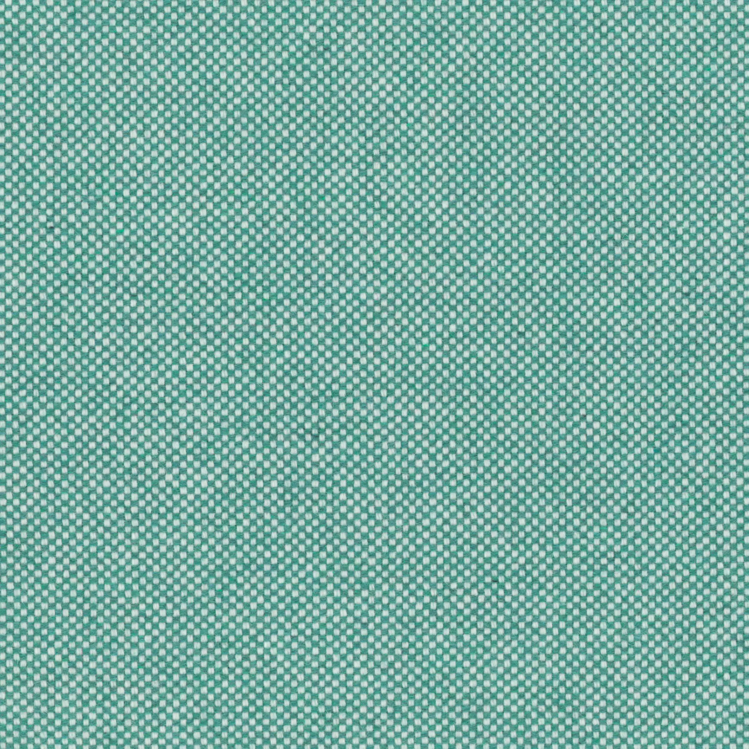 Lakspur 17 | Punti