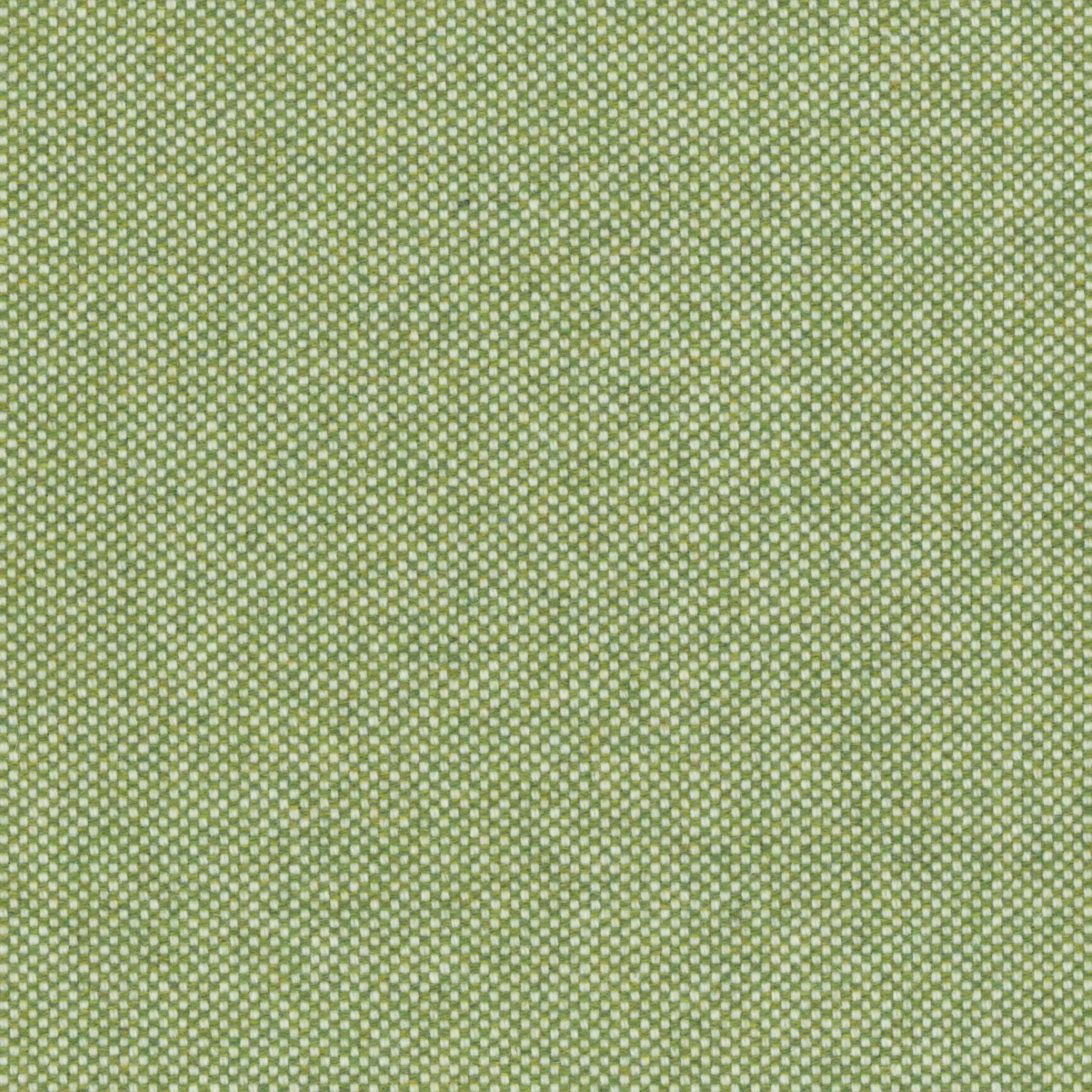 Spring Meadow 12 | Punti