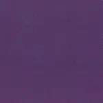 Tanzanite Garnet 32 | Punti