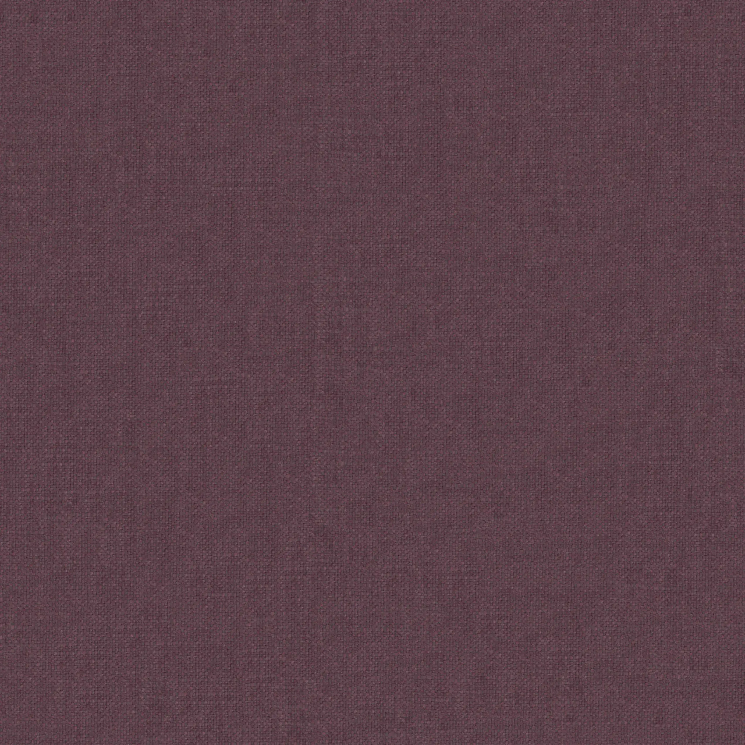 Grape 45 | Robin