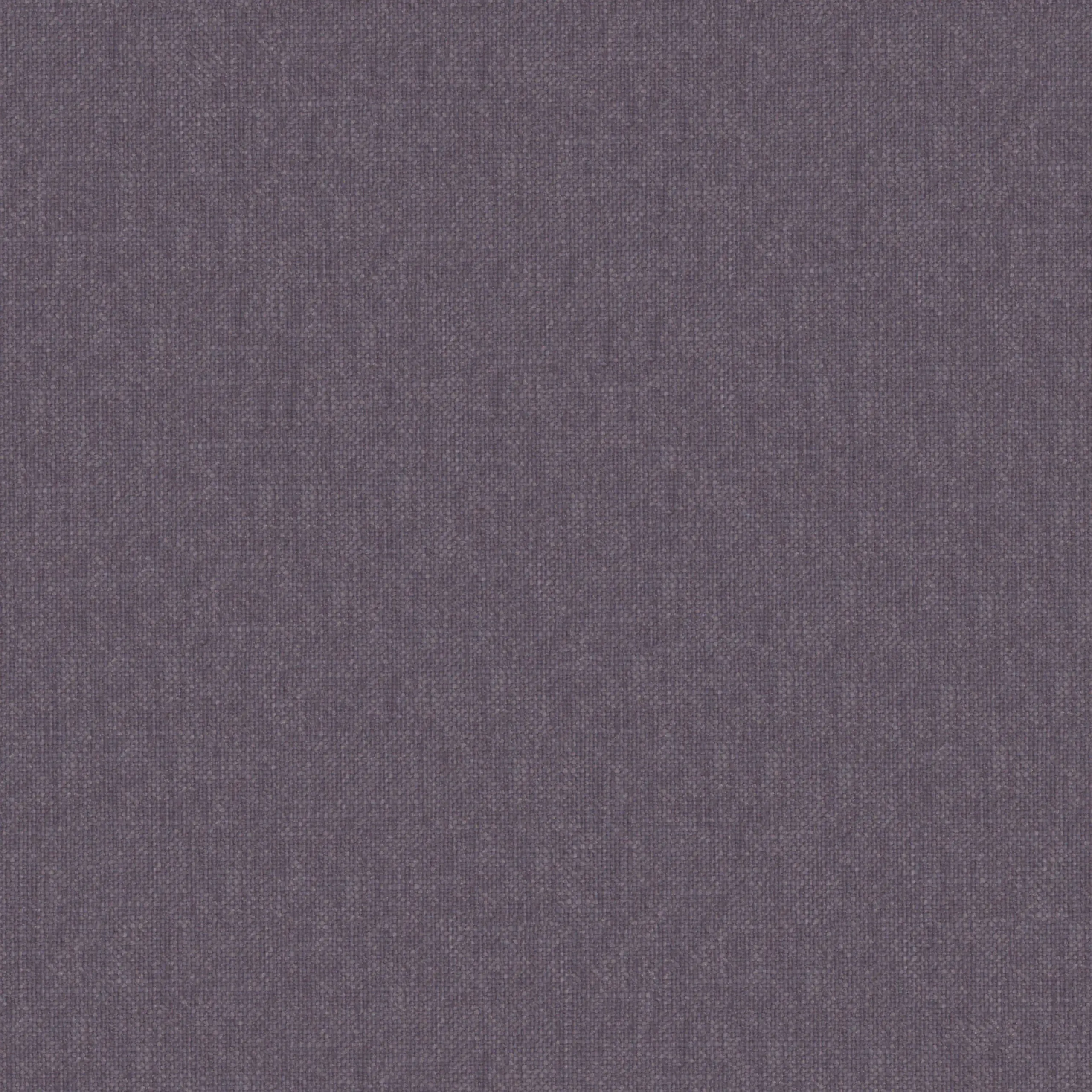 Iris 46 | Robin