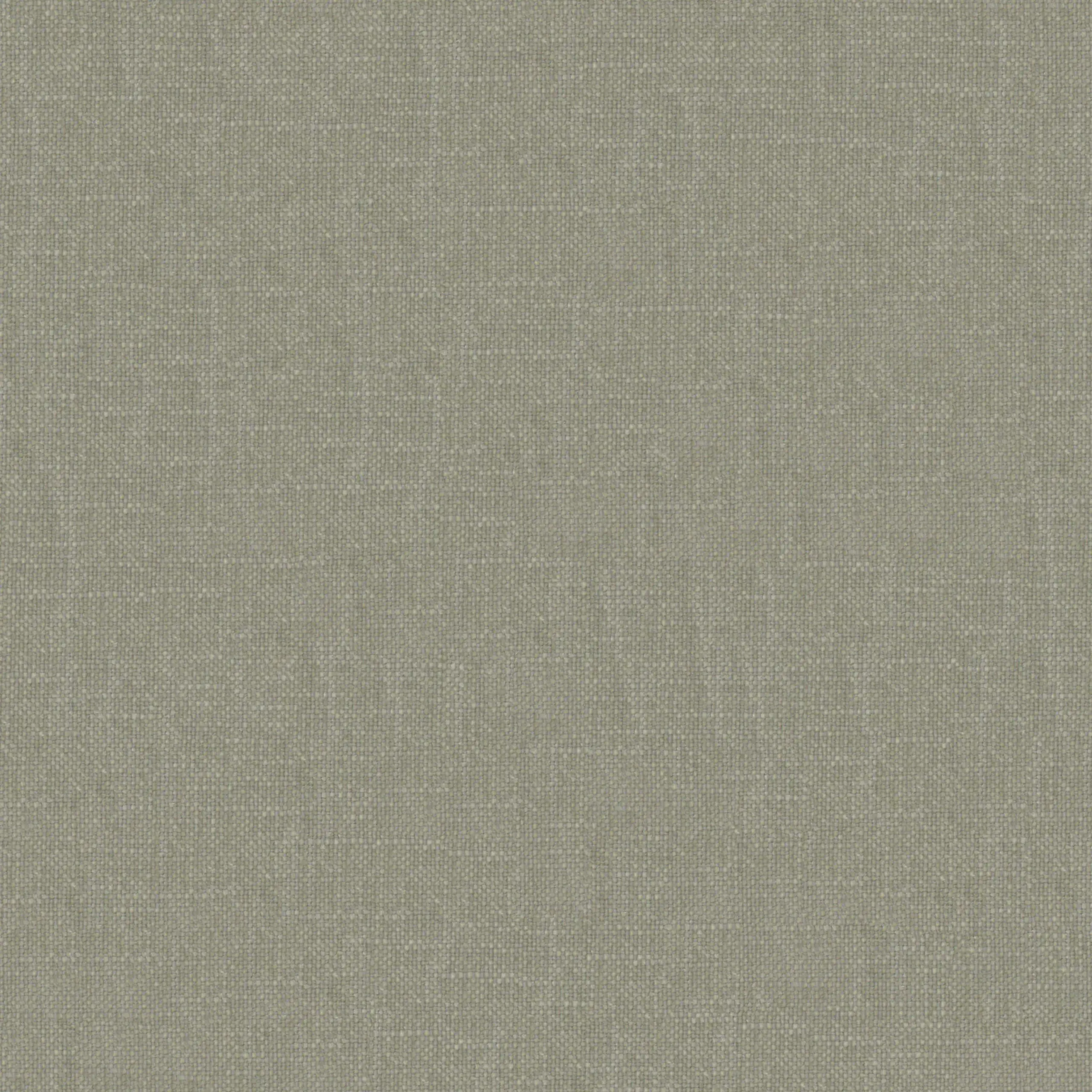 Limestone 10 | Robin
