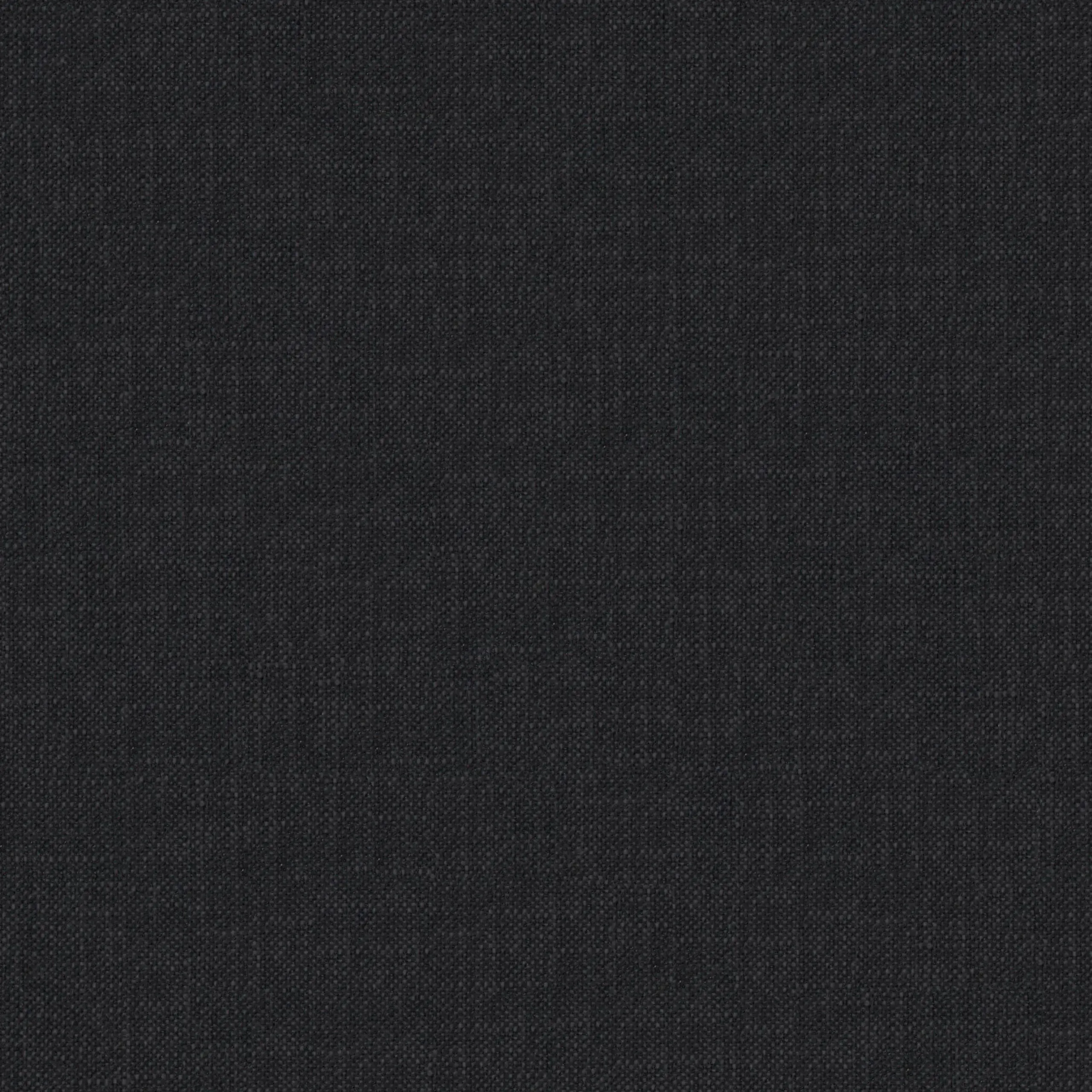 Onyx 03 | Robin