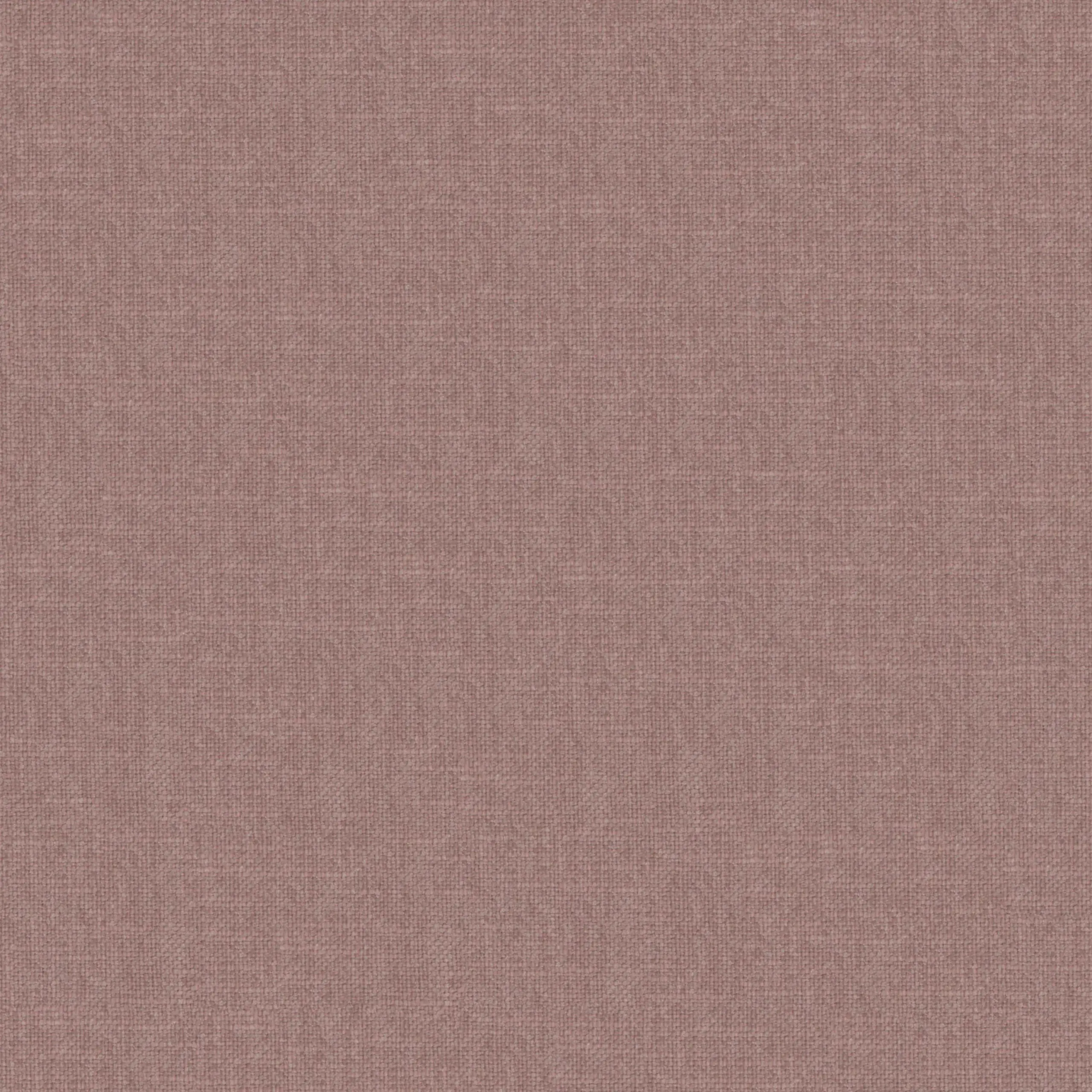 Petal 48 | Robin