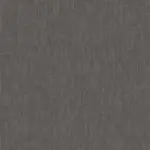 Pewter 06 | Robin