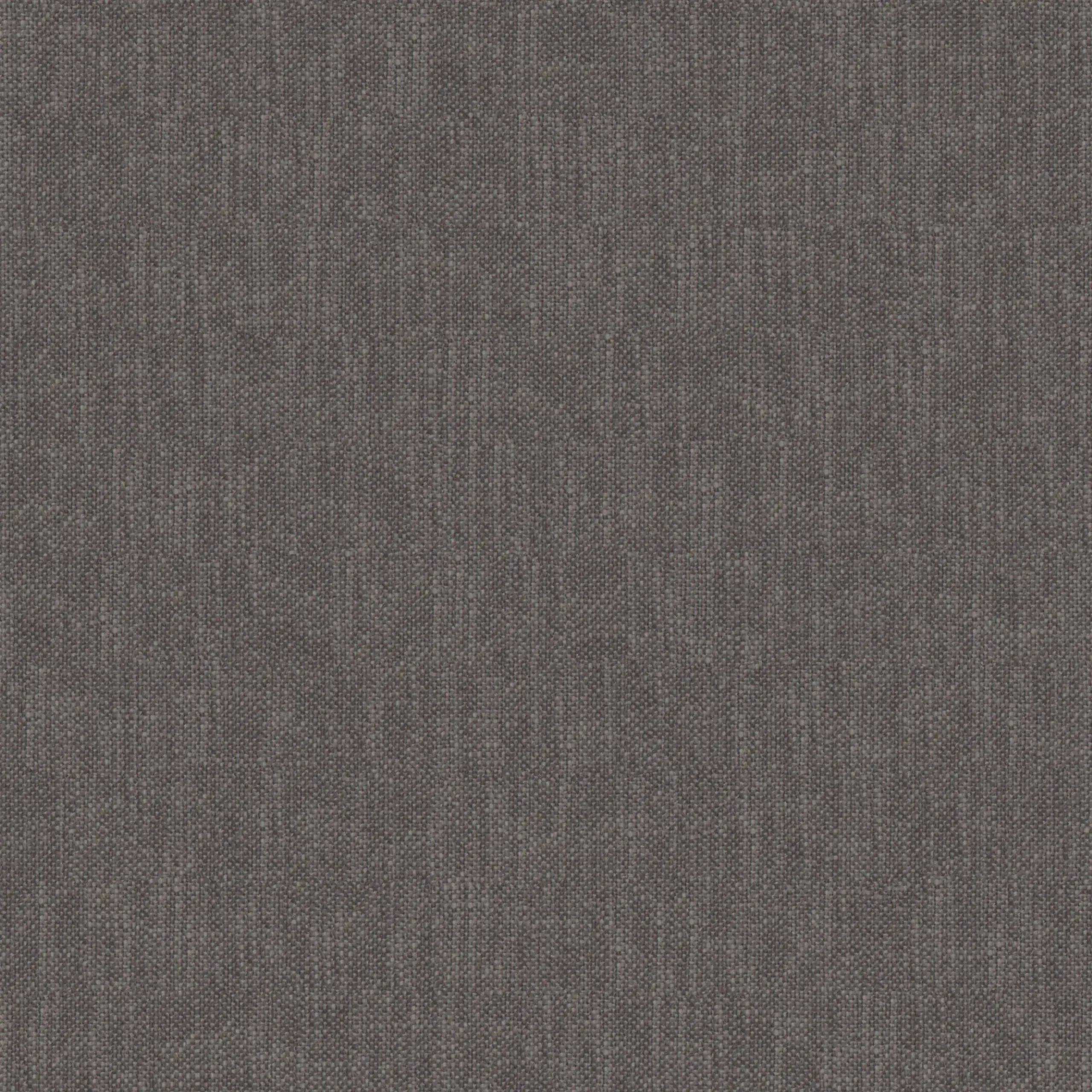 Pewter 06 | Robin