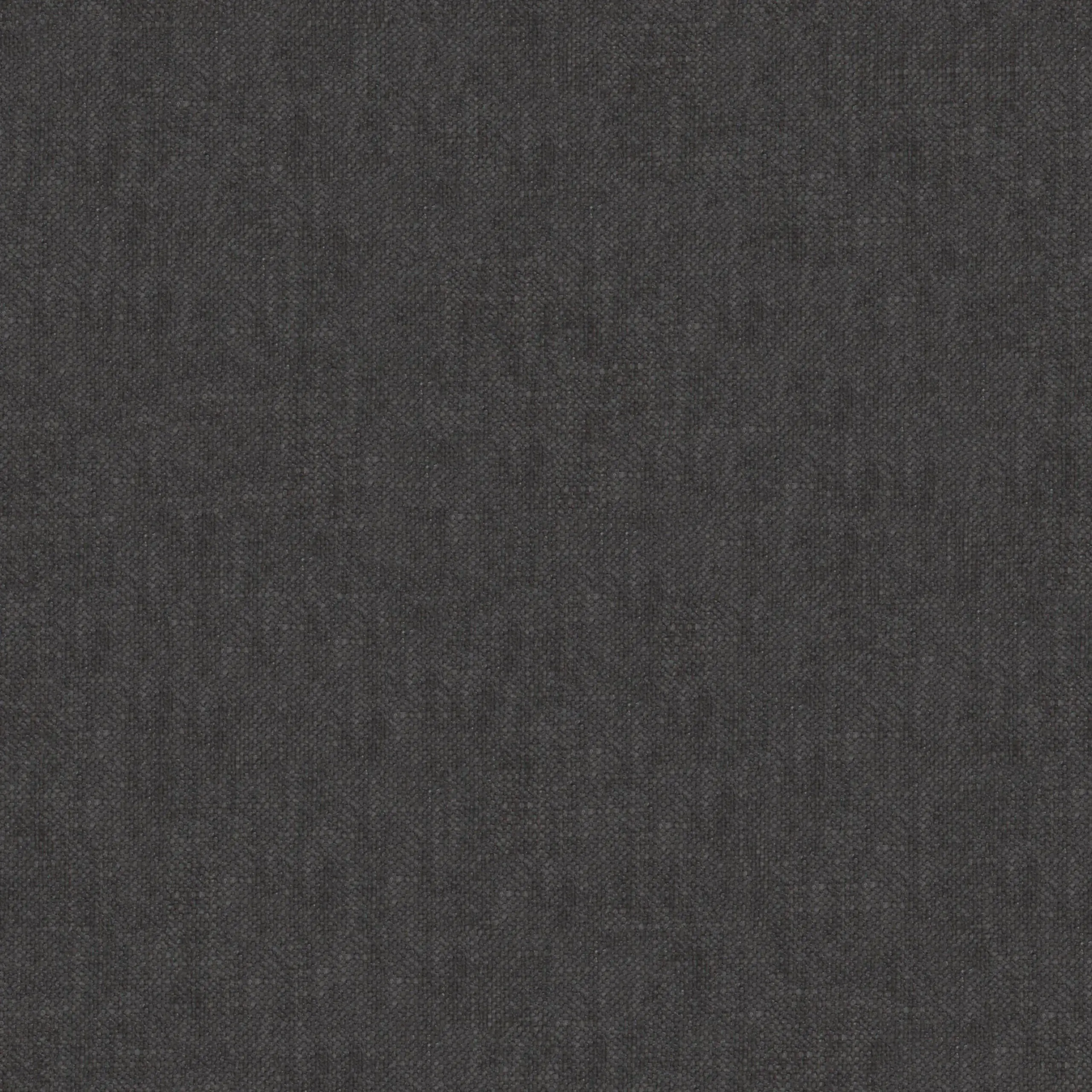 Shale 01 | Robin