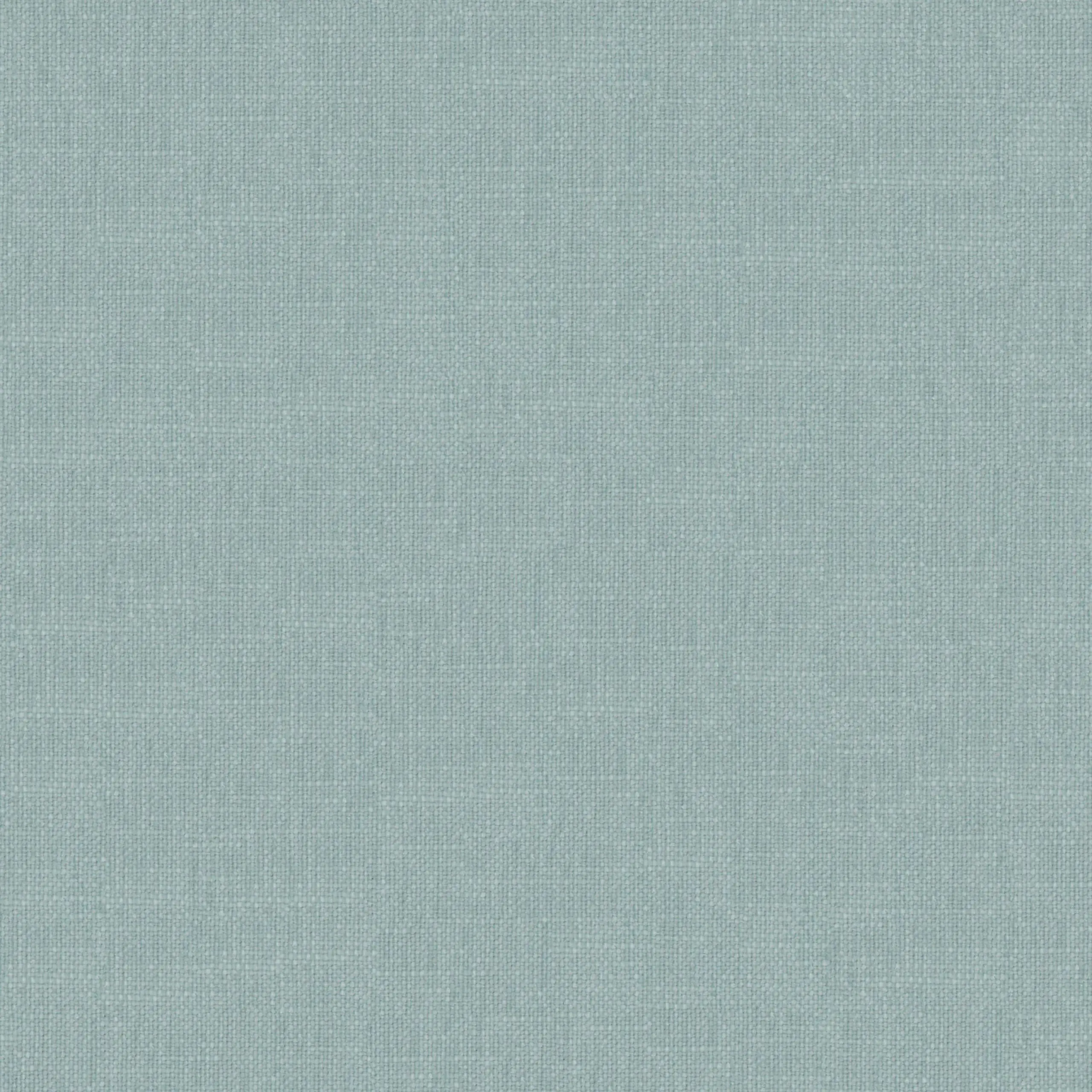 Sky 37 | Robin
