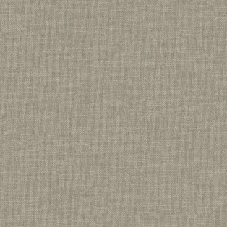 Taupe 11