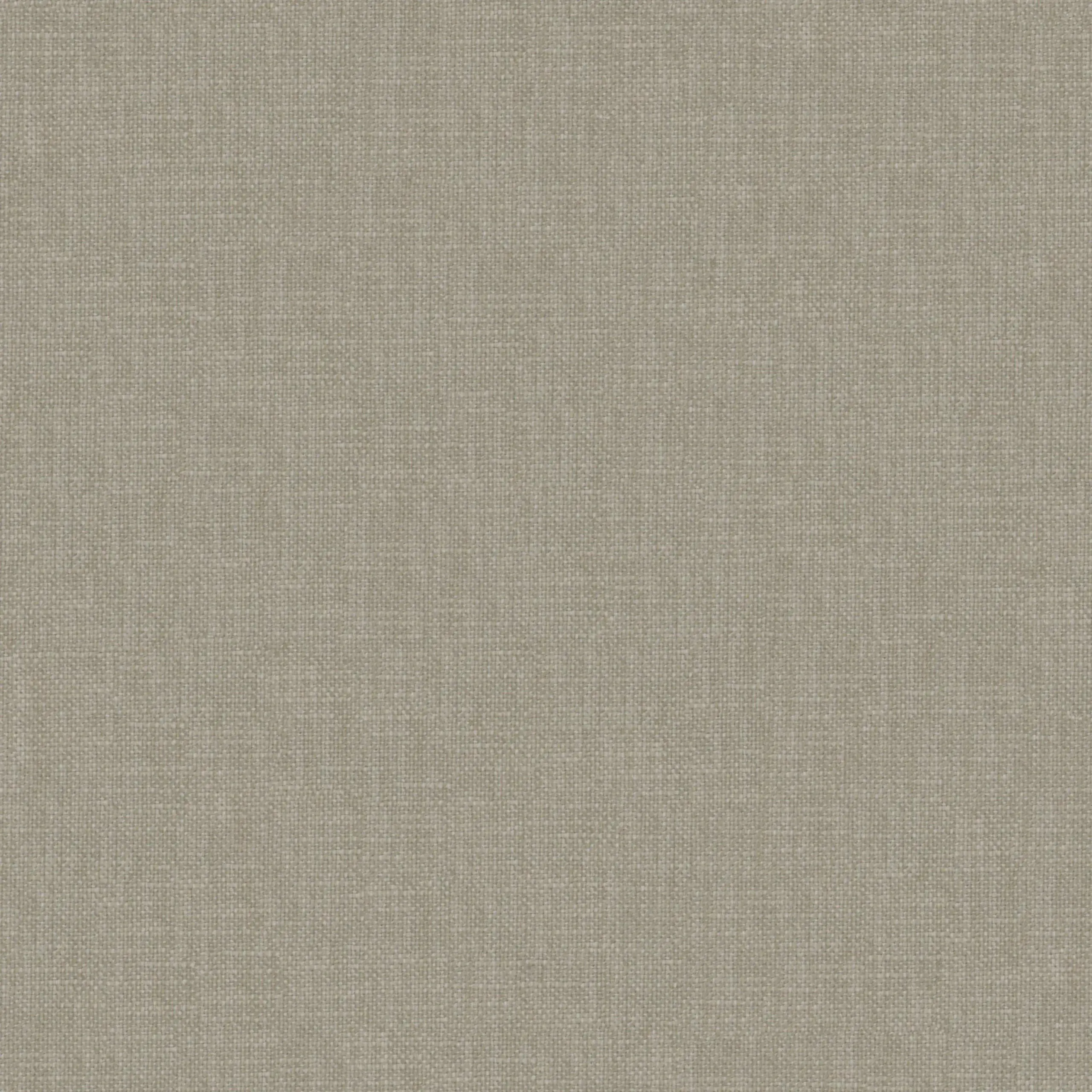 Taupe 11 | Robin