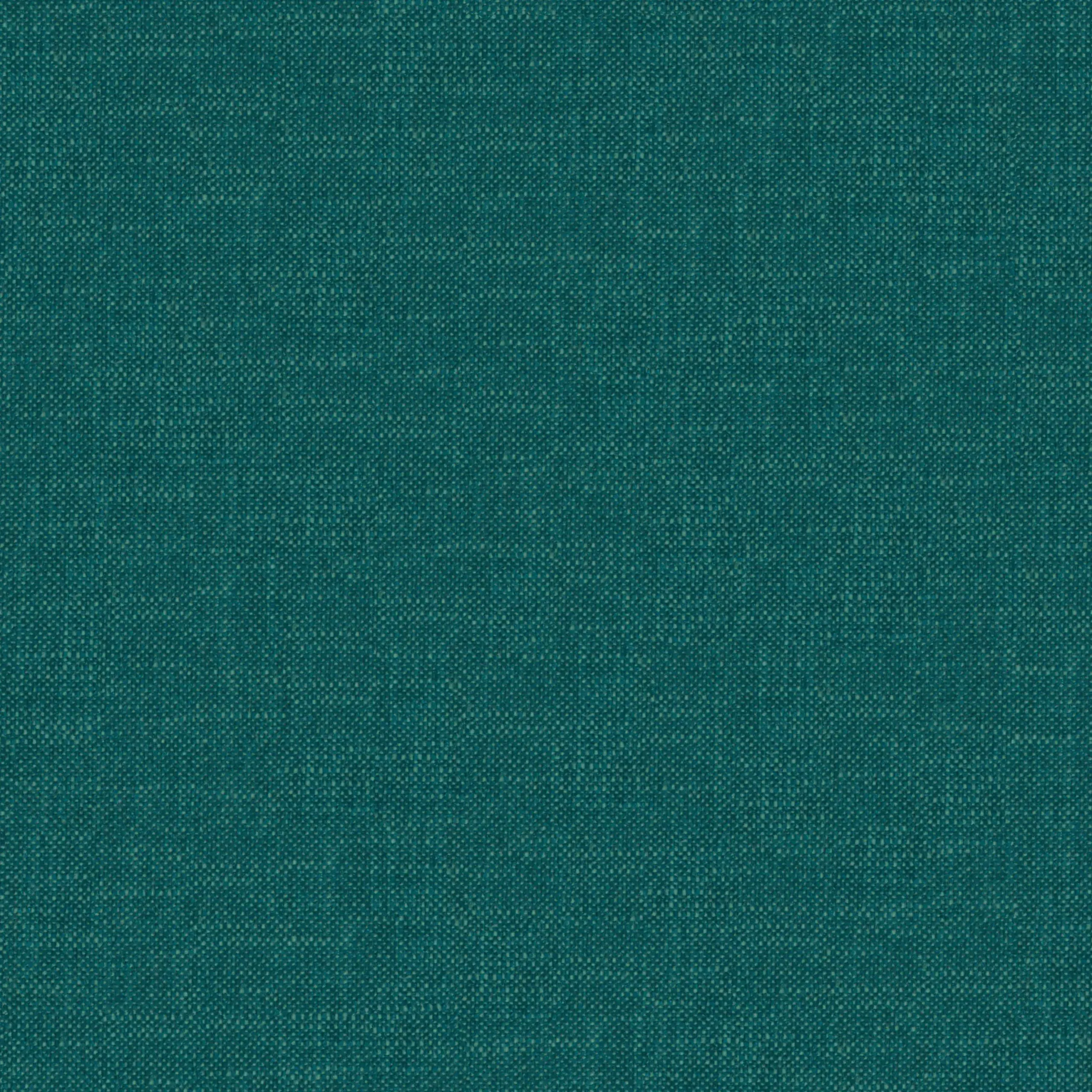 Teal 36 | Robin