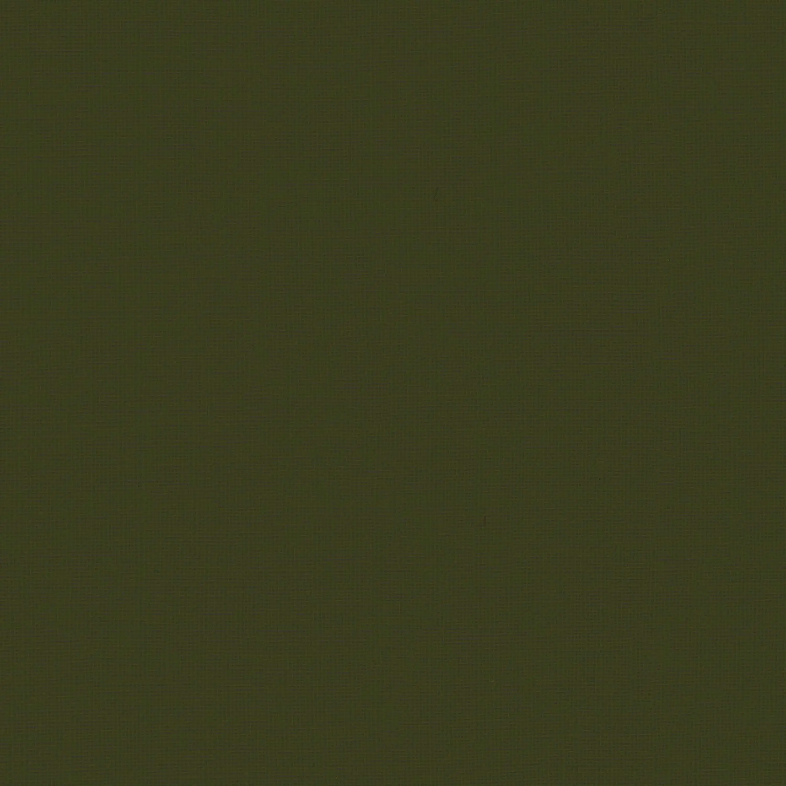 Peat Moss 16 | Sahel
