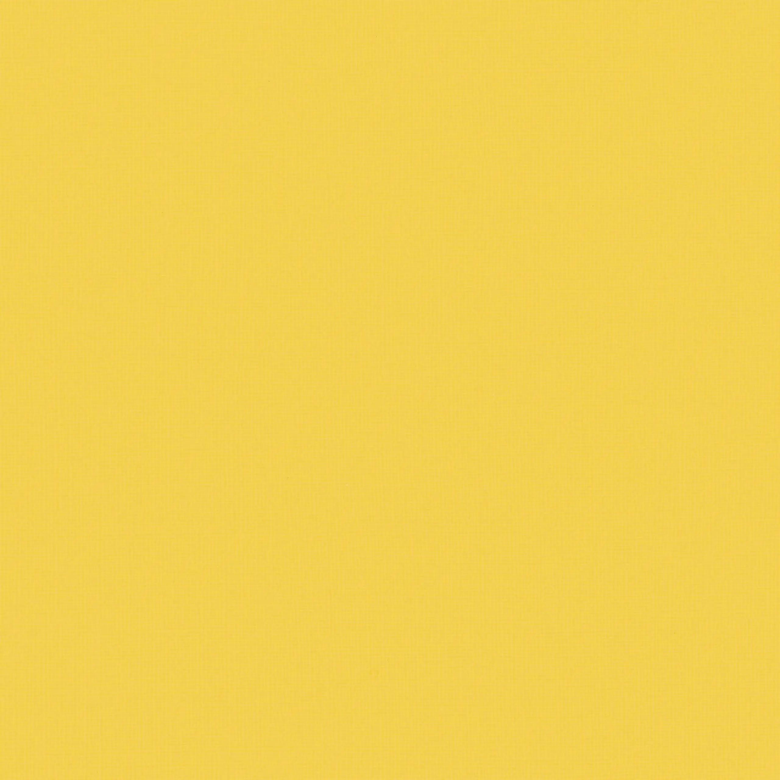 Slicker 17 | Sahel