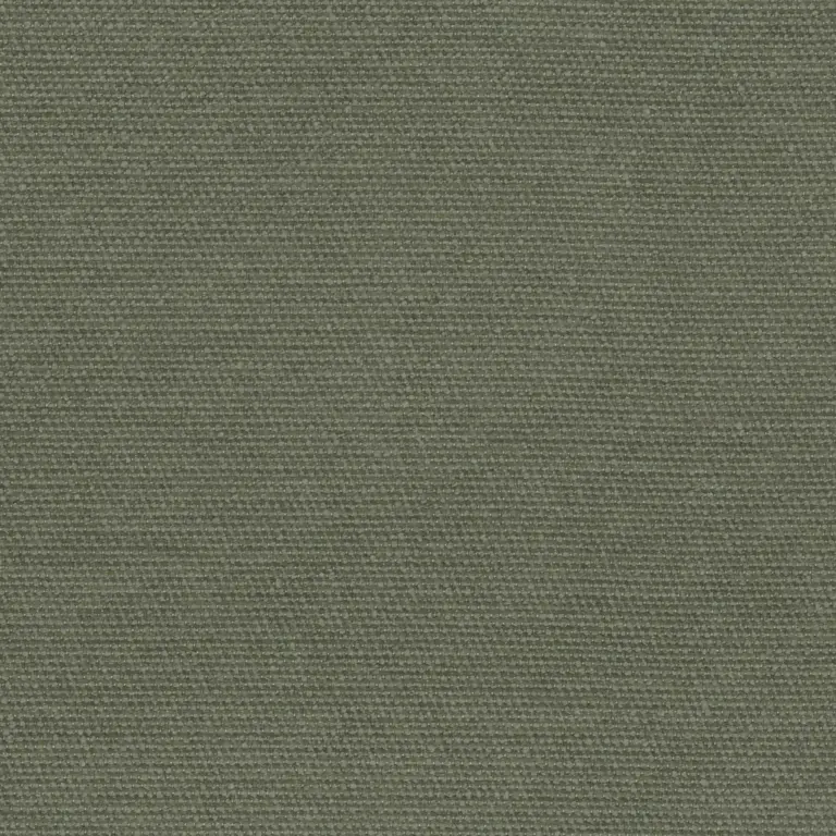 Deep Lichen Green 07
