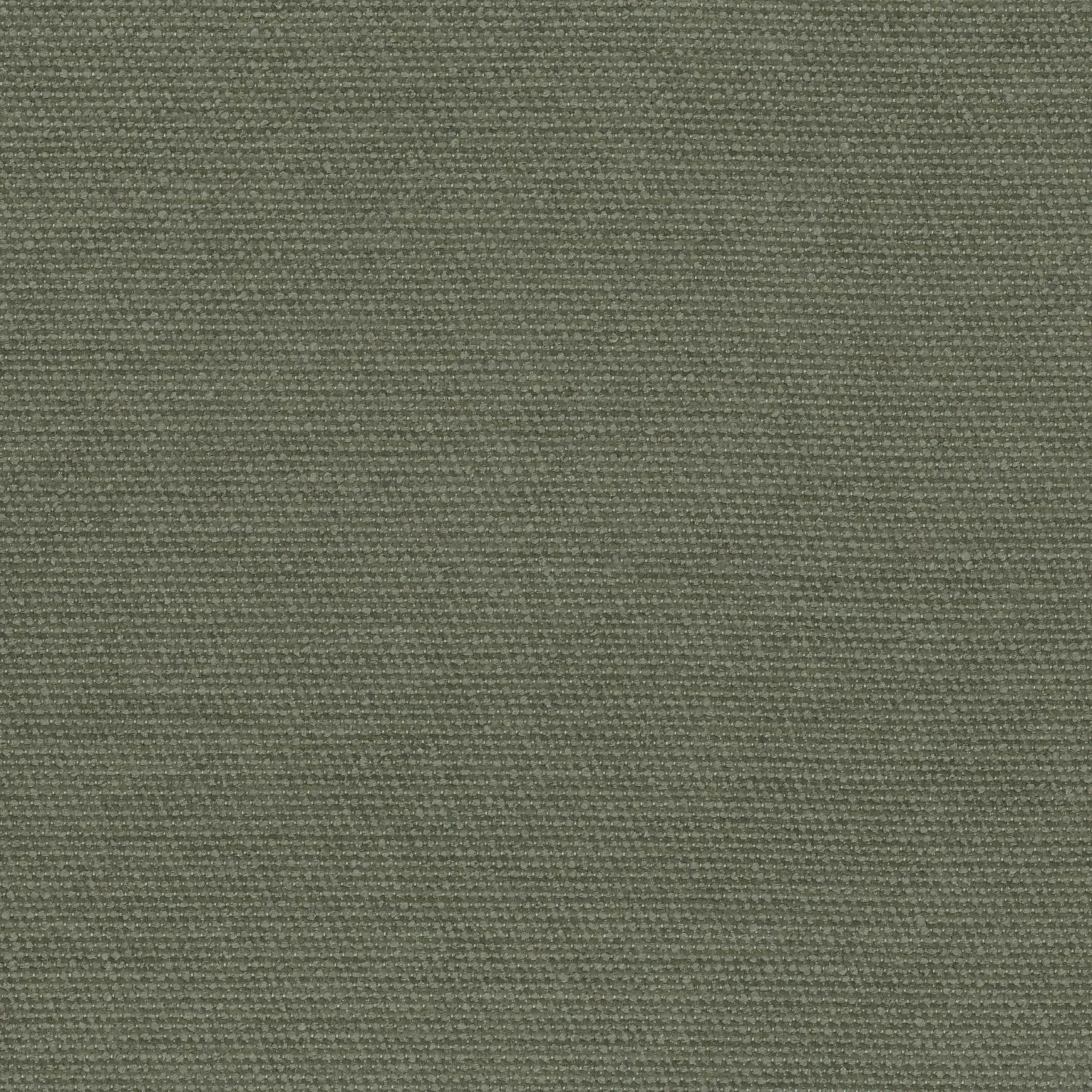 Deep Lichen Green 07 | Semi