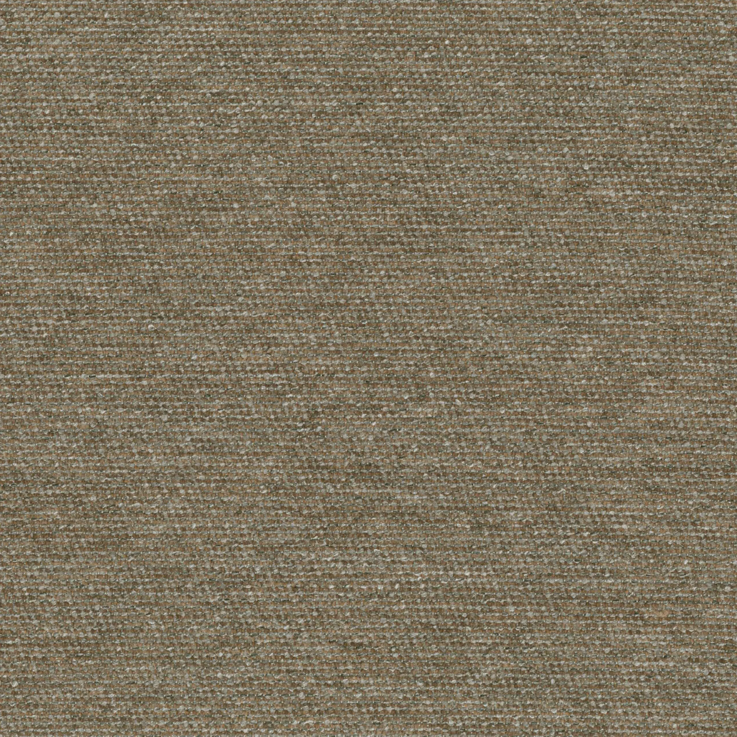 Desert Stone 11 | Semi