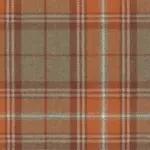 Apricot Orange 08 | Sherlock