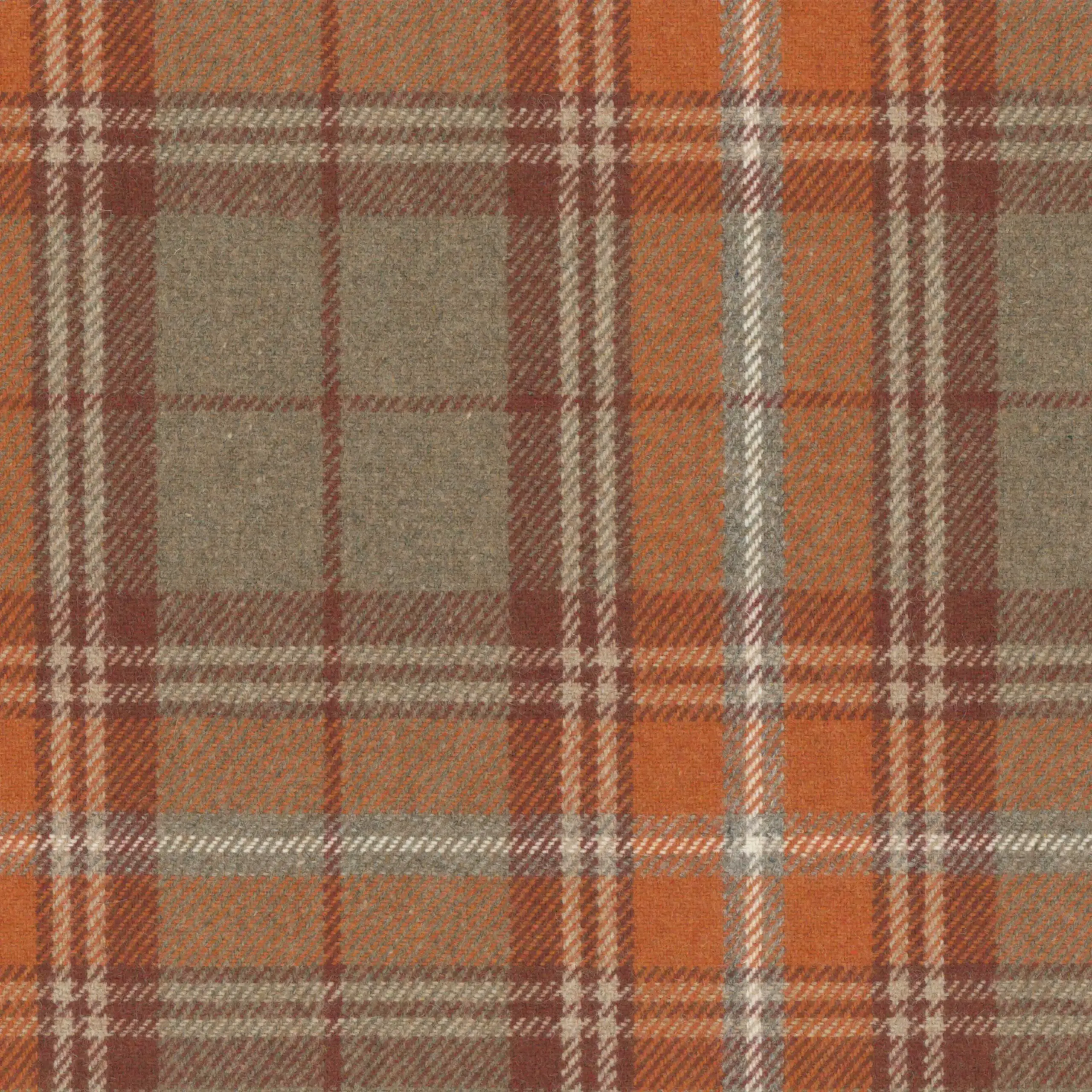Apricot Orange 08 | Sherlock